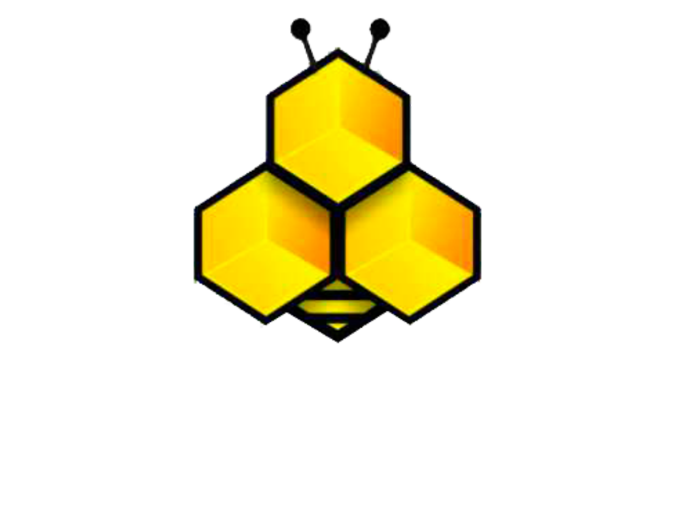 Colmena Services Group